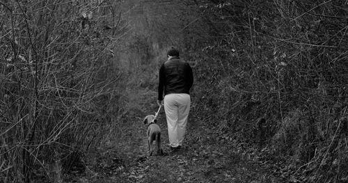 Rear view of man walking on road