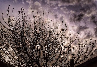 Low angle view of bare tree against cloudy sky