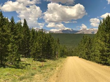 Road amidst trees and plants against sky