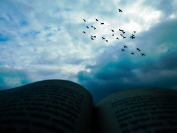 Low angle view of birds flying against sky