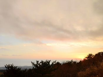 Scenic view of silhouette trees against sky during sunset