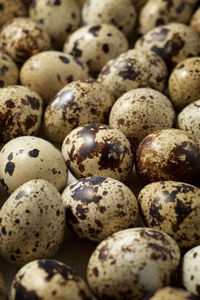 Large group of quail eggs.