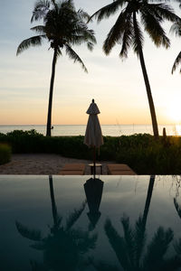 Palm trees by swimming pool against sky during sunset
