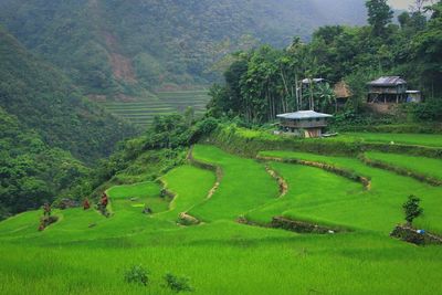 Scenic view of rural landscape