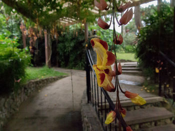 Close-up of bird perching on tree