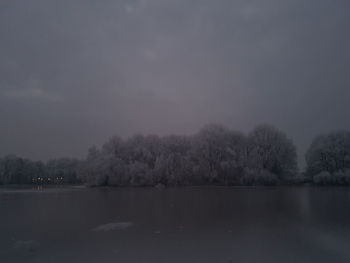 Bare trees against sky