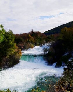 View of waterfall along trees