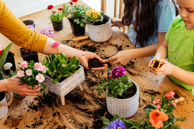 People holding flower pot