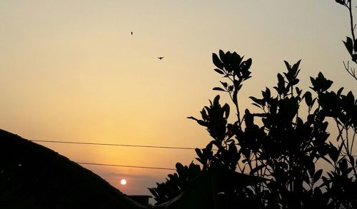 Low angle view of silhouette birds flying against clear sky