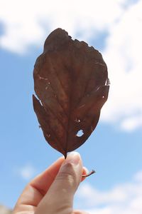 Cropped hand holding leaf against cloudy sky