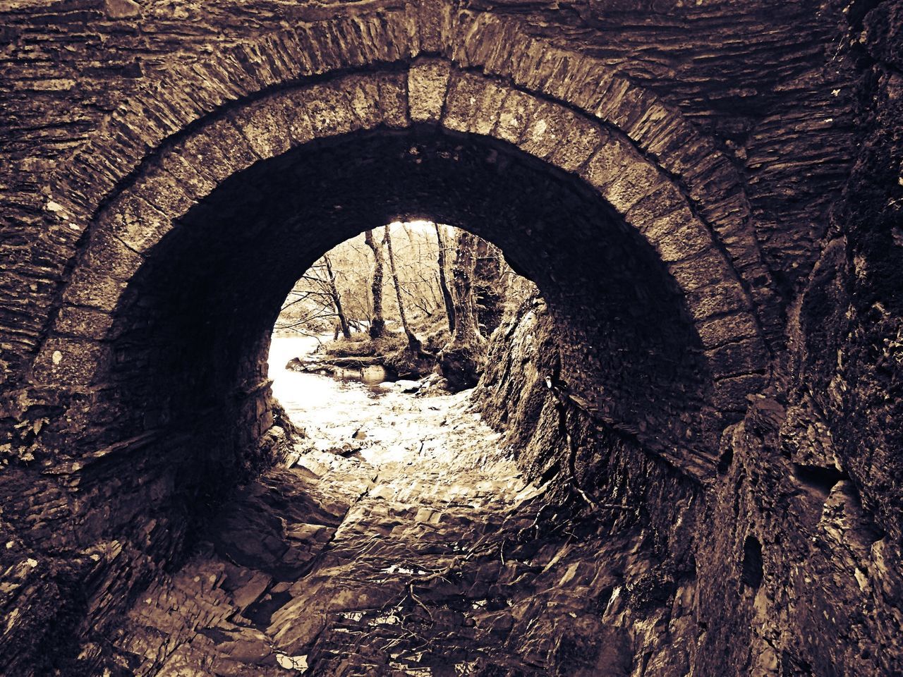 arch, tree, built structure, architecture, tunnel, the way forward, archway, day, water, nature, outdoors, no people, reflection, arch bridge, forest, high angle view, hole, tranquility, footpath