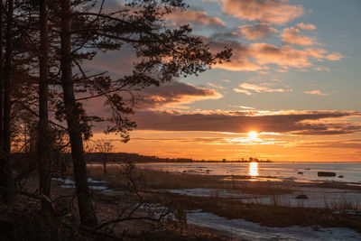 Scenic view of sea against orange sky