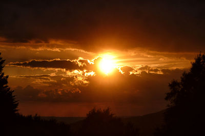 Silhouette trees against sky during sunset