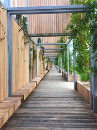 Empty footpath leading to building