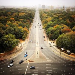 High angle view of road amidst trees seen from victory column