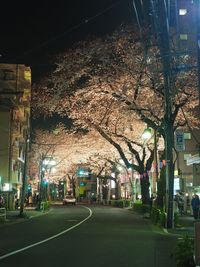 City street at night