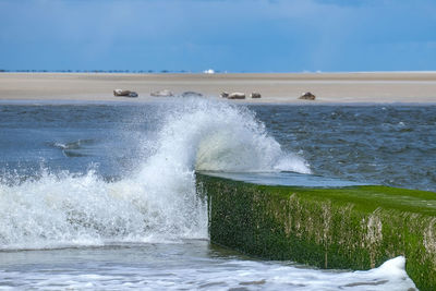 Sea waves splashing on shore against sky