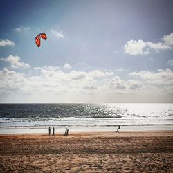 Person paragliding over beach against sky