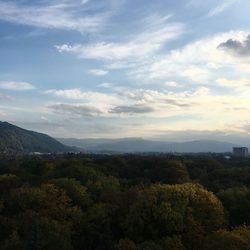 High angle view of trees on landscape against sky