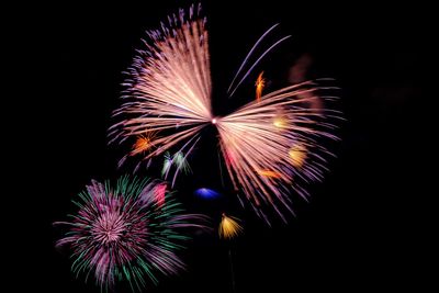 Low angle view of firework display against sky at night