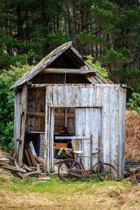 Old abandoned house in forest