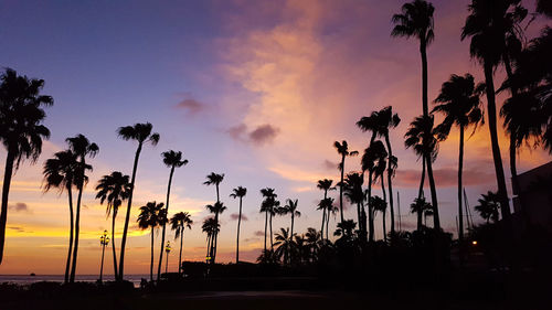 Silhouette palm trees against sky during sunset