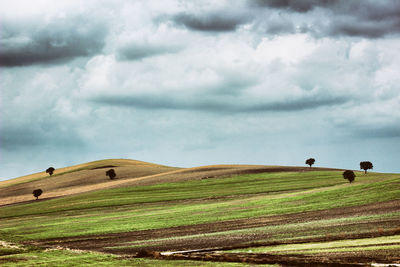 Hay bales on field against sky