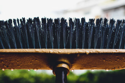 Close-up low angle view of sky