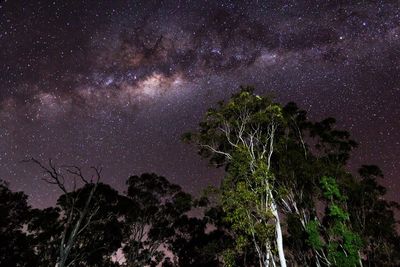 Low angle view of star field against star field