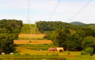 Rural landscape with trees in background