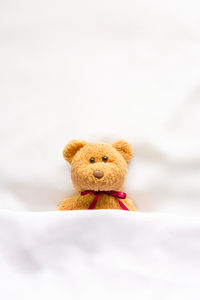 Close-up of stuffed toy against white background