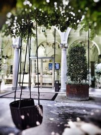 Potted plants hanging on footpath by building