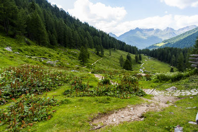 Scenic view of mountains against sky