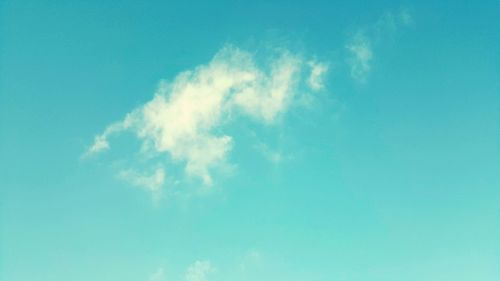 Low angle view of tree against blue sky