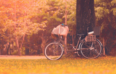 Bicycle parked by tree trunk in forest