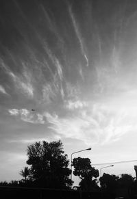 Low angle view of silhouette trees against sky