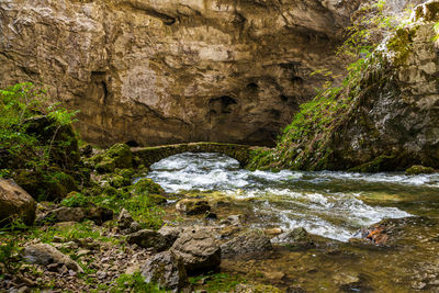 Scenic view of waterfall