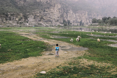 Rear view of man walking on dirt road