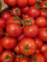 Full frame shot of tomatoes