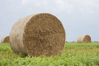 Hay bales on field against sky