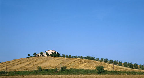 Hay bales on field against clear blue sky