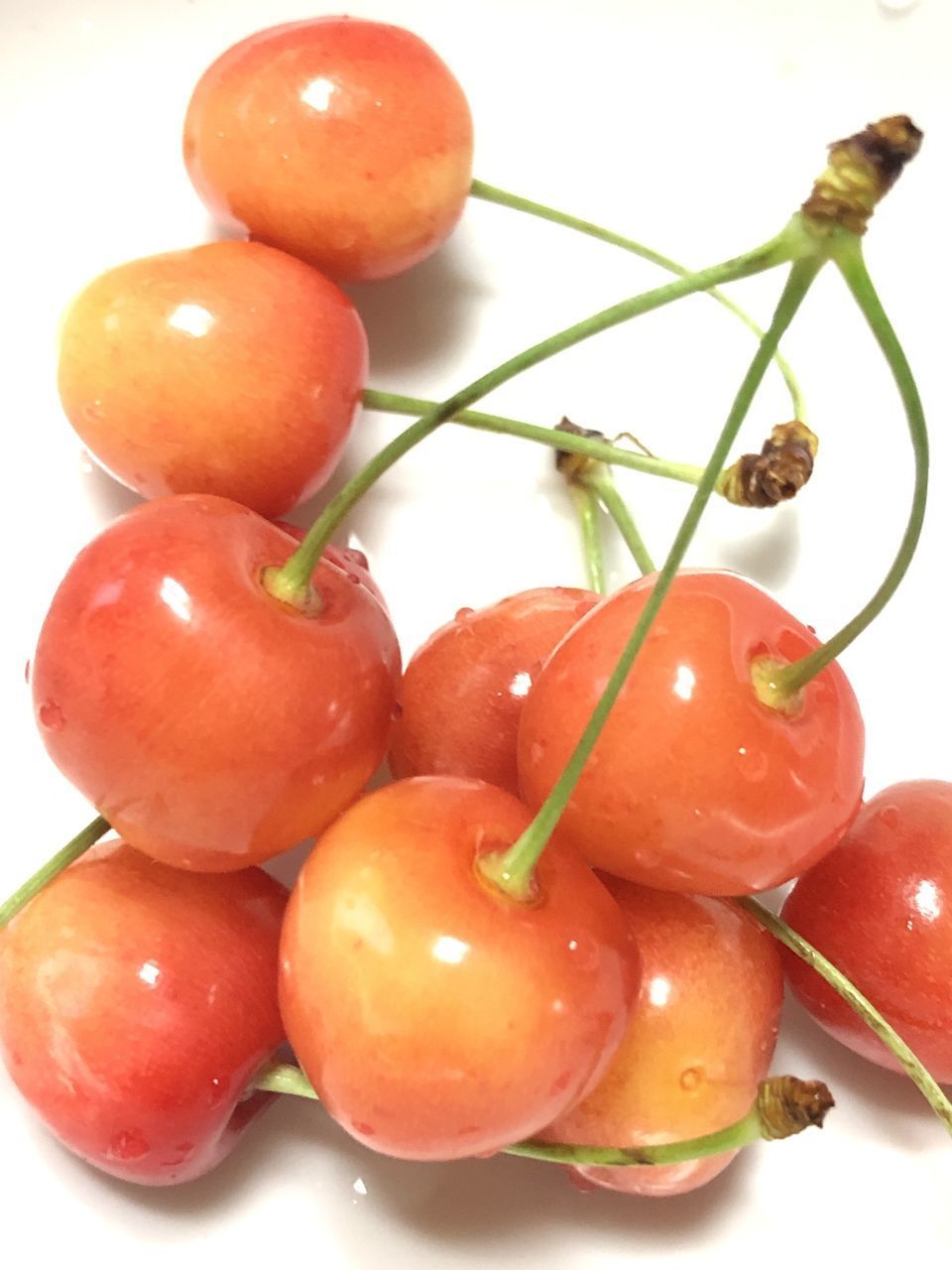 HIGH ANGLE VIEW OF TOMATOES IN CONTAINER