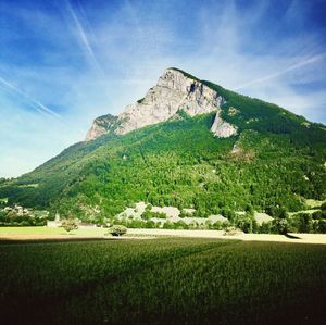 Scenic view of agricultural field against sky