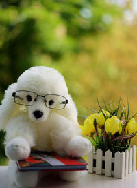 Close-up of white hairy dog toy wearing eyeglasses