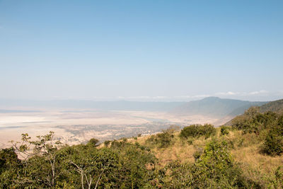 Scenic view of landscape against clear sky