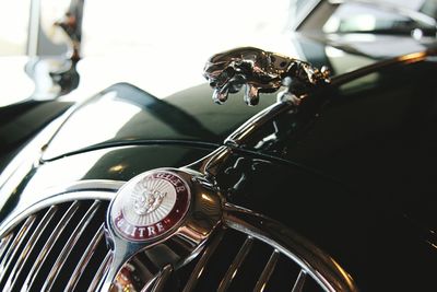 Close-up of bicycle on metal