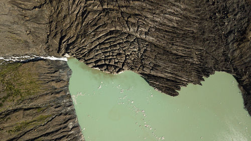 Close-up of tree trunk by lake during winter