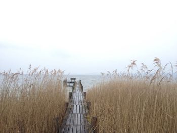 Scenic view of wooden jetty