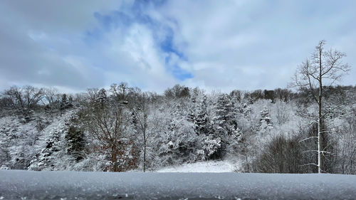 Trees on snow covered field against sky