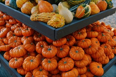 High angle view of pumpkins for sale at market stall